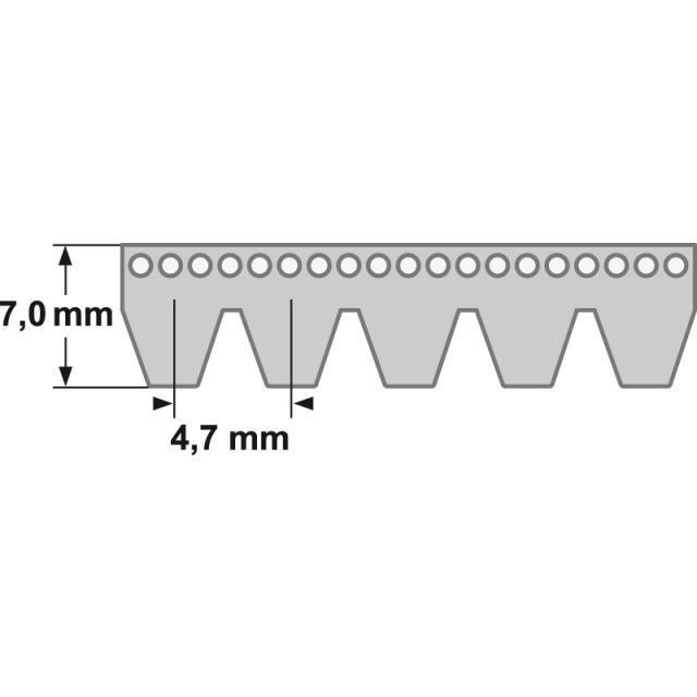 Keilrippenriemen 17 PL 3124 mm / 1230 L