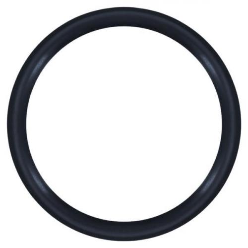 O-Ring 25 x 2,95 mm NBR70